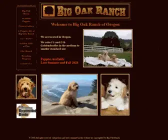 Thegoldendoodles.net(GOLDENDOODLE PUPPIES FOR SALE) Screenshot