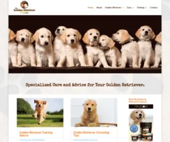 Thegoldenretrievernetwork.com(The Golden Retriever Network) Screenshot