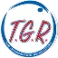 Thegymnasticsrevolution.com Logo