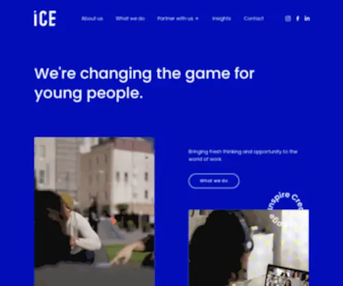 Theicebase.com(ICE Professionals) Screenshot