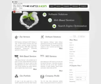 Theinfoindia.com(Customized ERP Solution In India) Screenshot