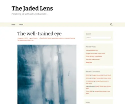 Thejadedlens.com(The Jaded Lens) Screenshot
