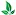 Thekratomcapsules.com Favicon