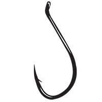 Thelandhook.com Favicon