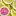 Thelemonsoflife.com Favicon