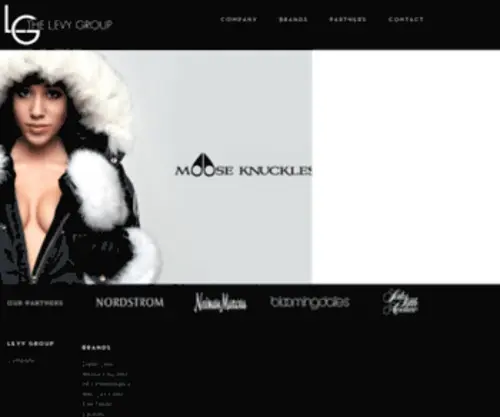Thelevygroupinc.com(The Levy Group) Screenshot