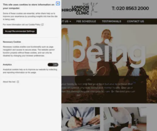 Thelondonchiropracticclinic.com(The London Chiropractic Clinic) Screenshot