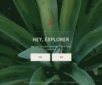 Thelostexplorer.com(The Lost Explorer) Screenshot