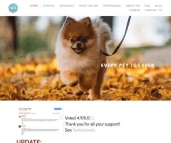 Thelovelypets.com(PUPPIES SALE SINGAPORE) Screenshot