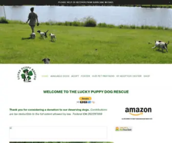 Theluckypuppy.org(Lucky Puppy Rescue) Screenshot