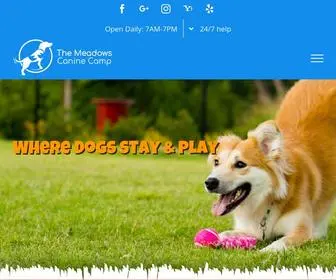 Themeadowscaninecamp.com(Where Dogs Stay & Play) Screenshot