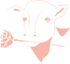 Themilkandrose.com Favicon