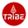 Themountaintribe.com Favicon