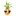 Thenakedpineapple.com Favicon