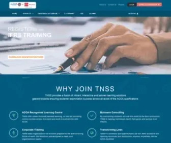 Thenewsynergyspecialist.com(The New Synergy Specialists (TNSS)) Screenshot