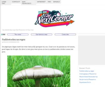 Thenextcorner.com(The Next Corner) Screenshot