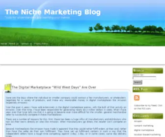 Thenichemarketingblog.com(Niche marketing) Screenshot