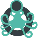 Theoctopus.ro Favicon