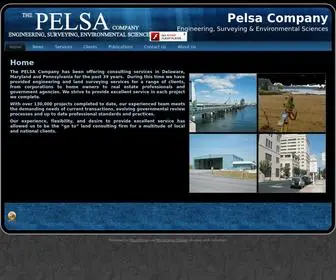 Thepelsacompany.com(Pelsa Company) Screenshot