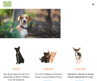 Thepetrescuecenter.org(The Pet Rescue Center) Screenshot