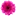 Thepinkdaisy.com Favicon
