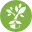 Theplantingtree.com Logo