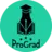 Theprograd.com Favicon