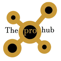 Theprohub.online Logo