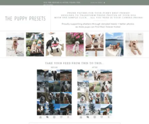 Thepuppypresets.com(The Puppy Presets) Screenshot