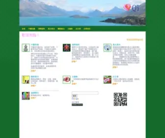 Theqi.com(The Qi New) Screenshot