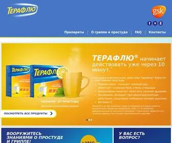 Theraflu.ru(Терафлю) Screenshot