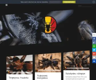 Theraphosidae.be(Tarantulas) Screenshot