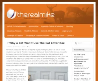 Therealmike.com(Buy a Domain Name) Screenshot