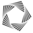 Thesandyparrot.com Favicon