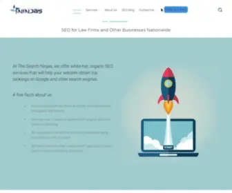 Thesearchninjas.com(Baltimore, Maryland SEO Company) Screenshot