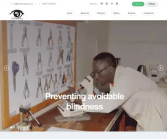 Theseeingeyes.org(Avoiding Preventable Blindness) Screenshot