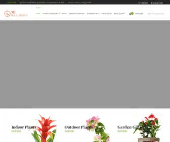 Thesiagarden.com(The Sia Garden) Screenshot