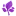 Thesoapcalculator.com Favicon
