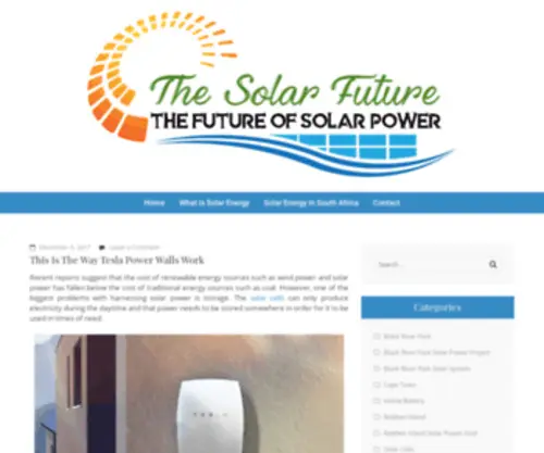 Thesolarfuture.co.za(The Solar Future) Screenshot