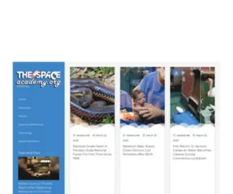 Thespaceacademy.org(This website) Screenshot