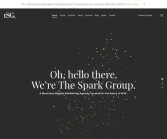 Thesparkgroup.com(The SPARK GROUP (tSG)) Screenshot