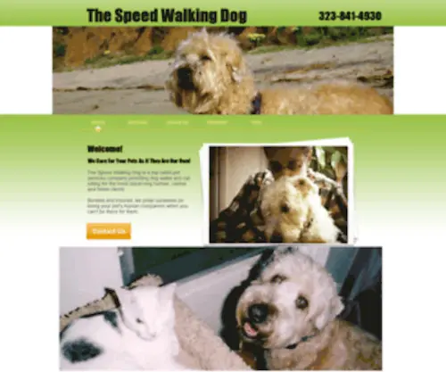 Thespeedwalkingdog.com(The Speed Walking Dog Best Dog Walking Service Hollywood CA The Speed Walking Dog Top Dog Walking Company Hollywood CA The Speed Walking Dog Best Dog Walkers Hollywood CA The Speed Walking Dog Top Dog Walking Company Hollywood CA The Speed Walking Dog Best) Screenshot