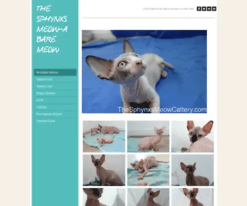 Thesphynxsmeow.com(The Sphynxs Meow) Screenshot