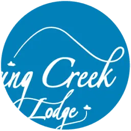 Thespringcreeklodge.com Favicon