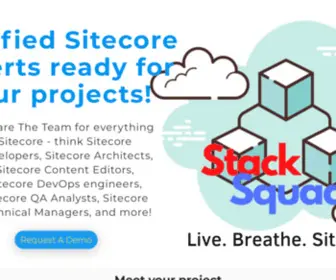 Thestacksquad.com(StackSquad) Screenshot