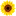 Thesunflowergarden.com Favicon