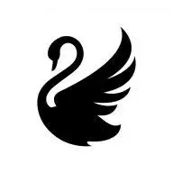 Theswanstafford.co.uk Favicon