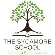 Thesycamoreschoolva.org Favicon