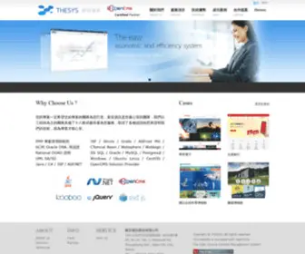 Thesys.com.tw(新安資訊股份有限公司) Screenshot