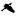 TheurbanbirderWorld.com Favicon